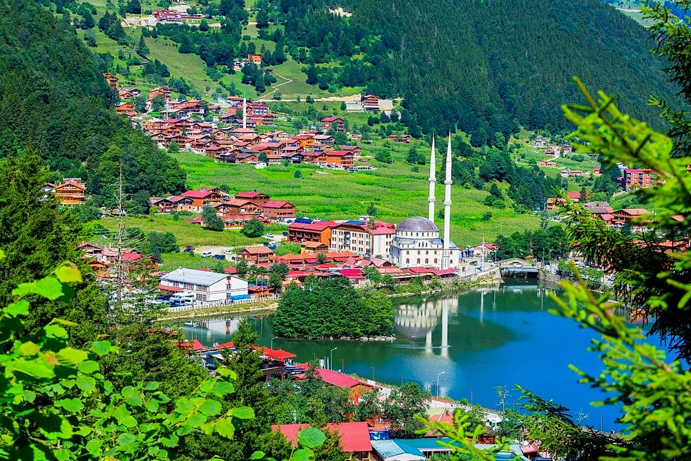 TRABZON ŞUBESİ